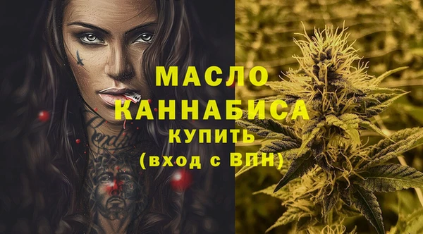 дмт Лабытнанги