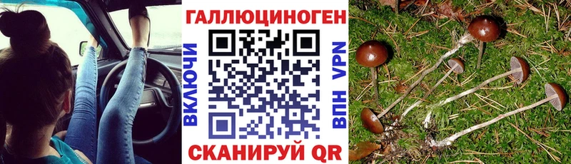 Купить  Бакал  Псилоцибиновые грибы ЛСД 